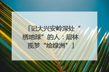 记大兴安岭深处“绣地球”的人：层林揽梦“绘绿洲”