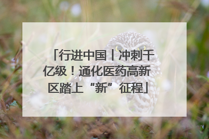 行进中国丨冲刺千亿级！通化医药高新区踏上“新”征程