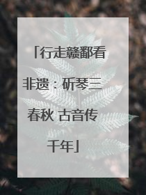 行走赣鄱看非遗：斫琴三春秋 古音传千年