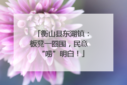 衡山县东湖镇：板凳一圈围，民意“唠”明白！