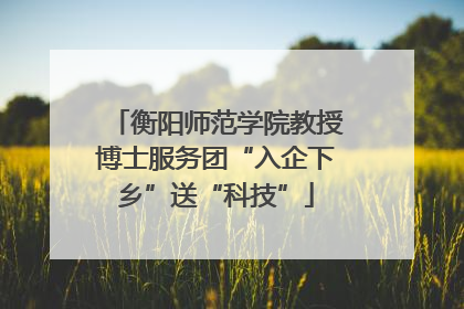 衡阳师范学院教授博士服务团“入企下乡”送“科技”