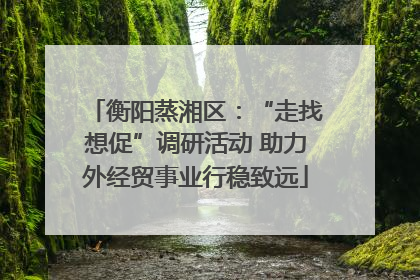 衡阳蒸湘区：“走找想促”调研活动 助力外经贸事业行稳致远