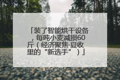 装了智能烘干设备，每吨小麦减损60斤（经济聚焦·夏收里的“新选手”）