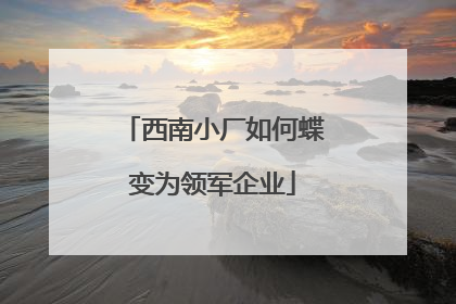 西南小厂如何蝶变为领军企业