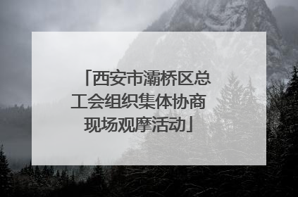 西安市灞桥区总工会组织集体协商现场观摩活动