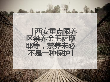 西安重点限养区禁养金毛萨摩耶等，禁养未必不是一种保护