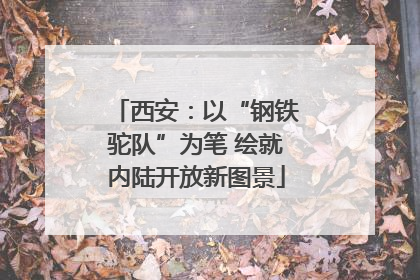 西安：以“钢铁驼队”为笔 绘就内陆开放新图景