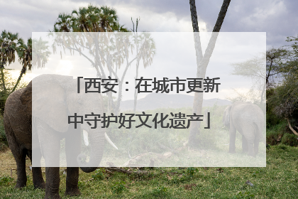 西安：在城市更新中守护好文化遗产