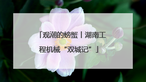 观潮的螃蟹丨湖南工程机械“双城记”