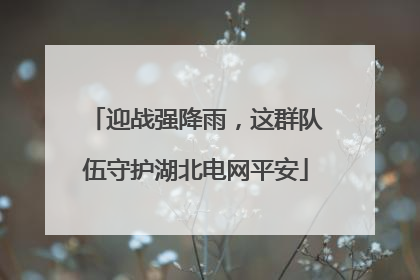迎战强降雨，这群队伍守护湖北电网平安