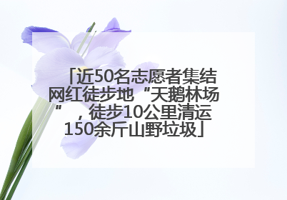 近50名志愿者集结网红徒步地“天鹅林场”，徒步10公里清运150余斤山野垃圾