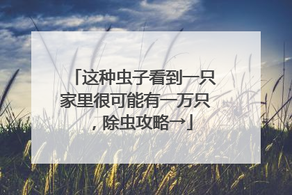 这种虫子看到一只家里很可能有一万只，除虫攻略→