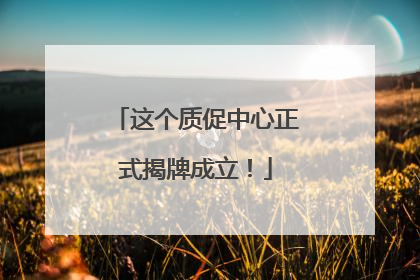 这个质促中心正式揭牌成立！