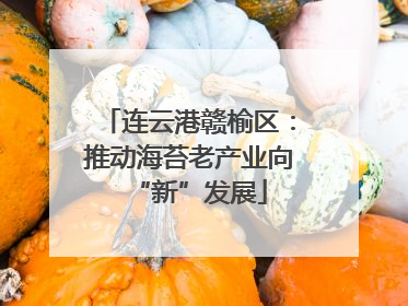 连云港赣榆区：推动海苔老产业向“新”发展