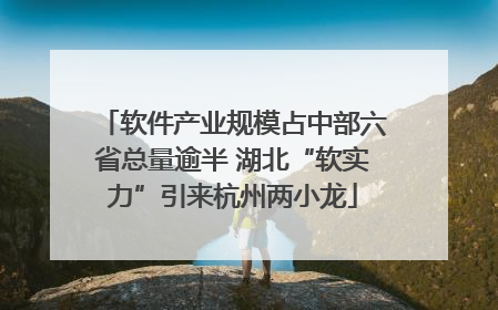 软件产业规模占中部六省总量逾半 湖北“软实力”引来杭州两小龙