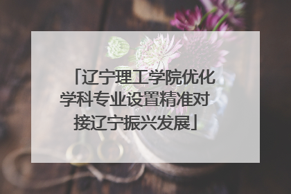 辽宁理工学院优化学科专业设置精准对接辽宁振兴发展