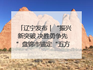 辽宁发布｜“振兴新突破 决胜勇争先”盘锦市锚定“五方面工作”力争全年地区生产总值增长5.5%左右