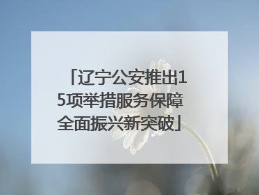 辽宁公安推出15项举措服务保障全面振兴新突破