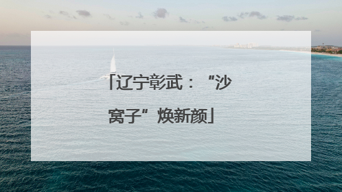 辽宁彰武：“沙窝子”焕新颜
