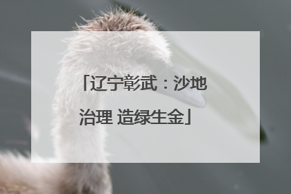 辽宁彰武：沙地治理 造绿生金