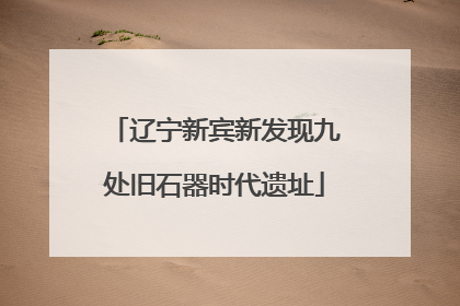 辽宁新宾新发现九处旧石器时代遗址
