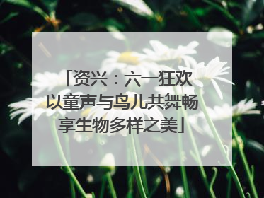 资兴：六一狂欢 以童声与鸟儿共舞畅享生物多样之美