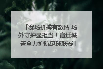 赛场拼搏有激情 场外守护显担当！宿迁城管全力护航足球联赛