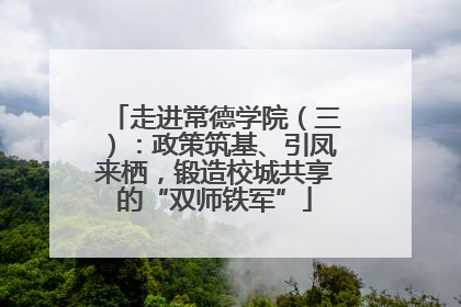 走进常德学院（三）：政策筑基、引凤来栖，锻造校城共享的“双师铁军”