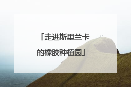 走进斯里兰卡的橡胶种植园