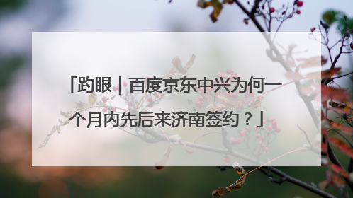 趵眼｜百度京东中兴为何一个月内先后来济南签约？