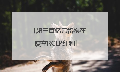 超三百亿元货物在厦享RCEP红利