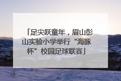 足尖跃童年，眉山彭山实验小学举行“海豚杯”校园足球联赛