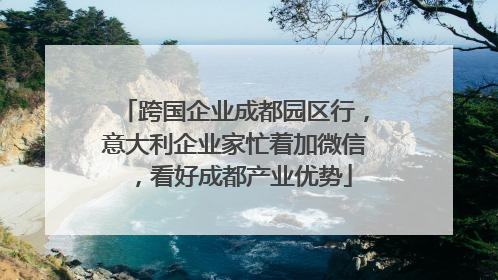 跨国企业成都园区行，意大利企业家忙着加微信，看好成都产业优势