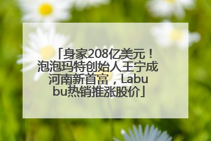 身家208亿美元！泡泡玛特创始人王宁成河南新首富，Labubu热销推涨股价