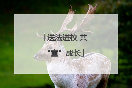 送法进校 共“童”成长
