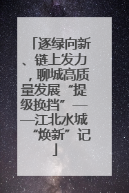逐绿向新、链上发力，聊城高质量发展“提级换挡”——江北水城“焕新”记