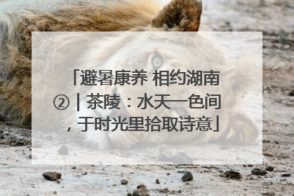 避暑康养 相约湖南②｜茶陵：水天一色间，于时光里拾取诗意