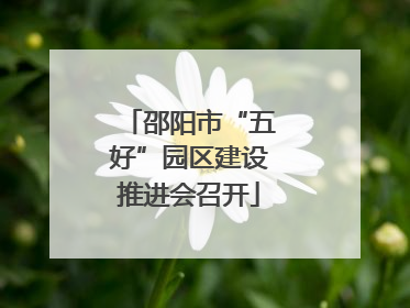 邵阳市“五好”园区建设推进会召开