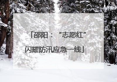 邵阳：“志愿红”闪耀防汛应急一线