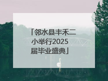 邻水县丰禾二小举行2025届毕业盛典