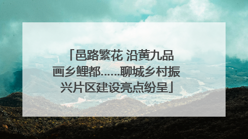 邑路繁花 沿黄九品 画乡鲤都……聊城乡村振兴片区建设亮点纷呈