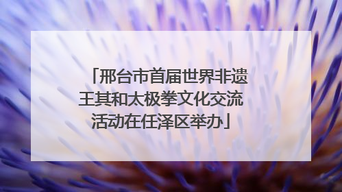 邢台市首届世界非遗王其和太极拳文化交流活动在任泽区举办