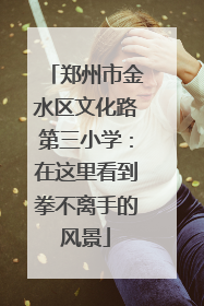 郑州市金水区文化路第三小学：在这里看到拳不离手的风景