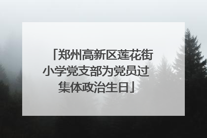 郑州高新区莲花街小学党支部为党员过集体政治生日
