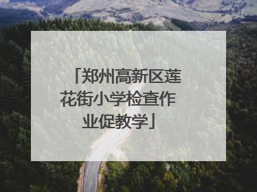 郑州高新区莲花街小学检查作业促教学