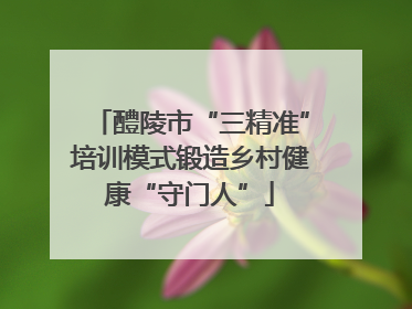醴陵市“三精准”培训模式锻造乡村健康“守门人”