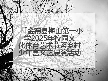金寨县梅山第一小学2025年校园文化体育艺术节暨乡村少年宫文艺展演活动圆满落幕