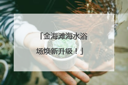 金海滩海水浴场焕新升级！
