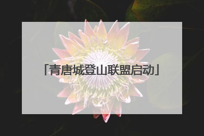 青唐城登山联盟启动