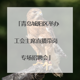 青岛城阳区举办工会主席直播带岗专场招聘会